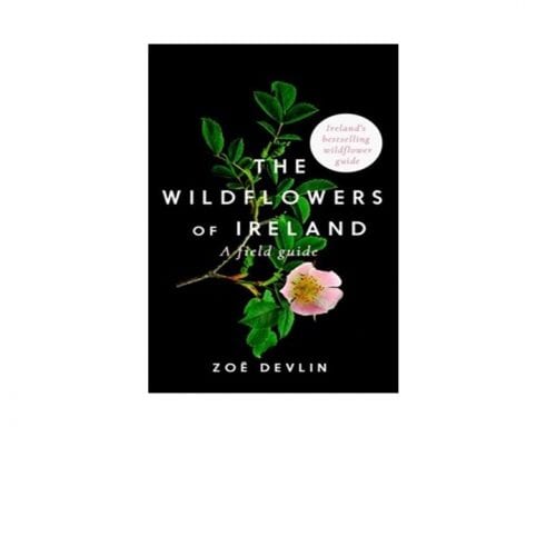 The Wildflowers of Ireland BirdWatch Ireland