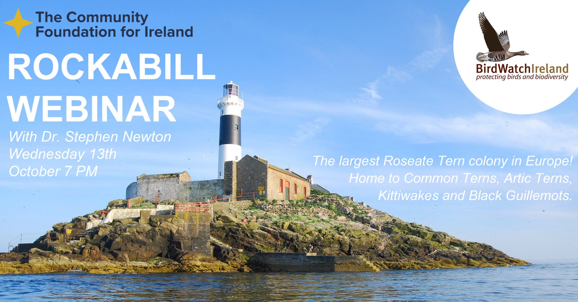 Rockabill Webinar