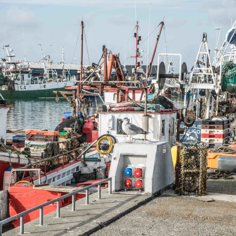 Howth Harbour Fishing Boats