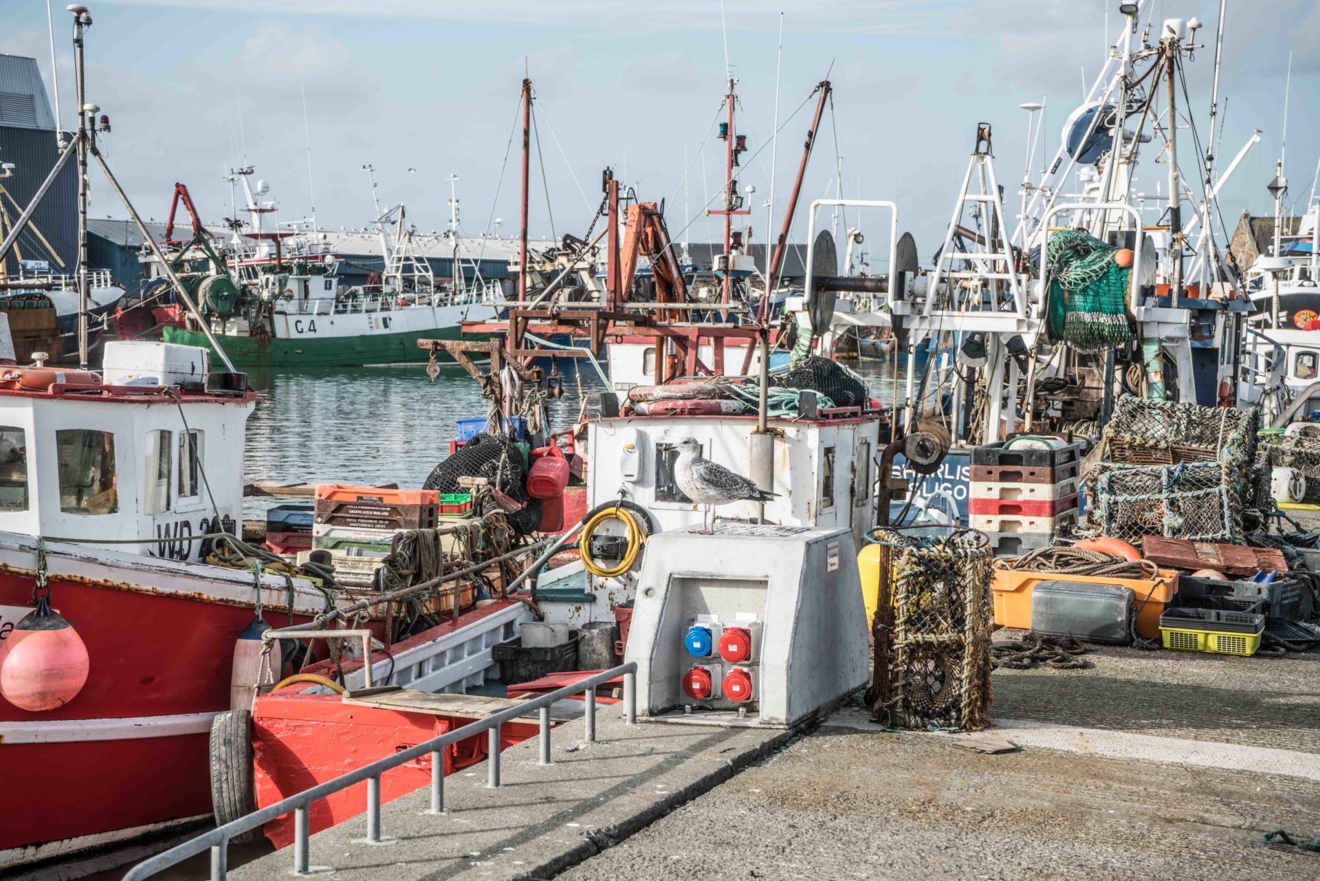 Howth Harbour Fishing Boats