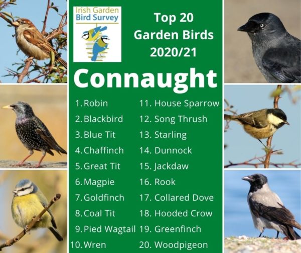 Garden Birds in the four corners of Ireland BirdWatch Ireland