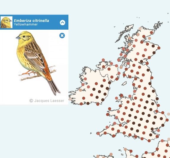 EBBA2 Map Yellowhammer 1 