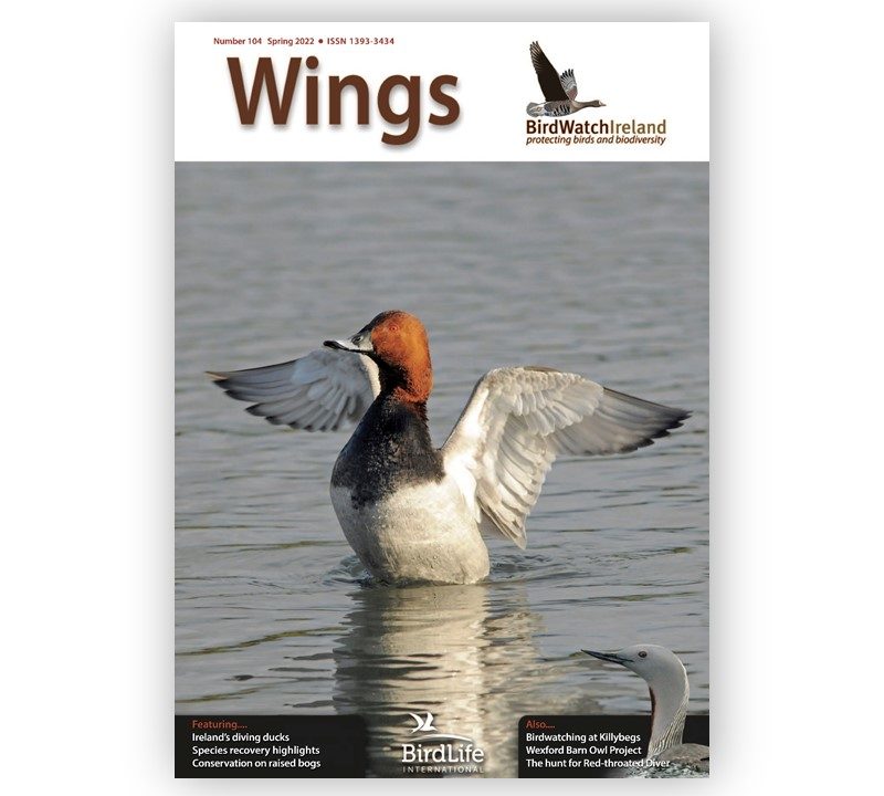 Wings-104-Landscape