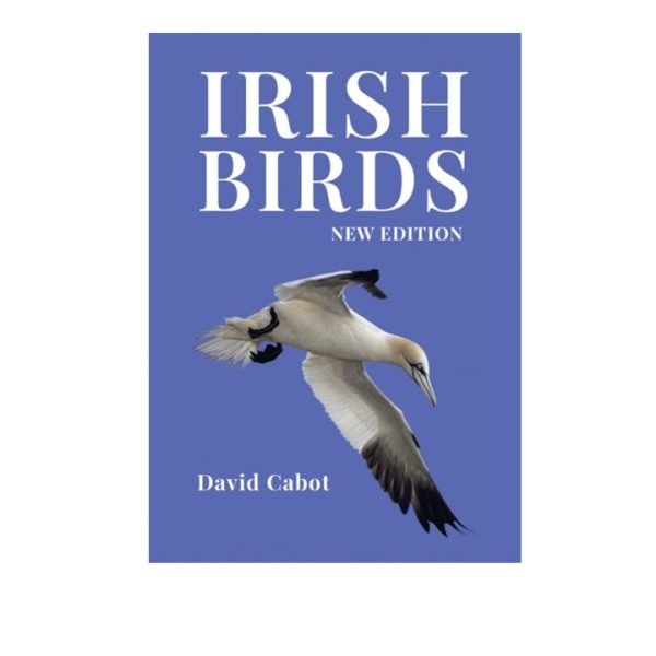 Iris Birds by David Cabot