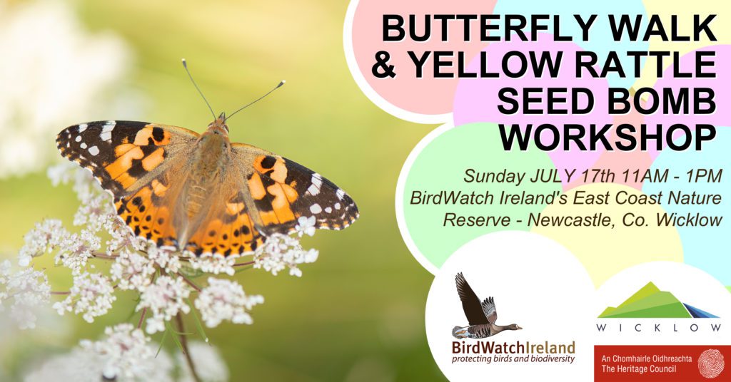 Butterfly Walk