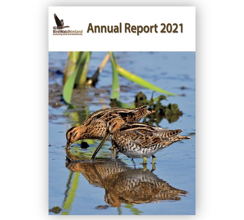 Cover of BirdWatch Ireland's 2021 Annual Report