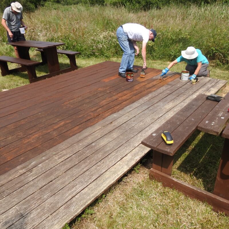 Volunteers-painting-a-wooden-boardwalk-in-a-reserve