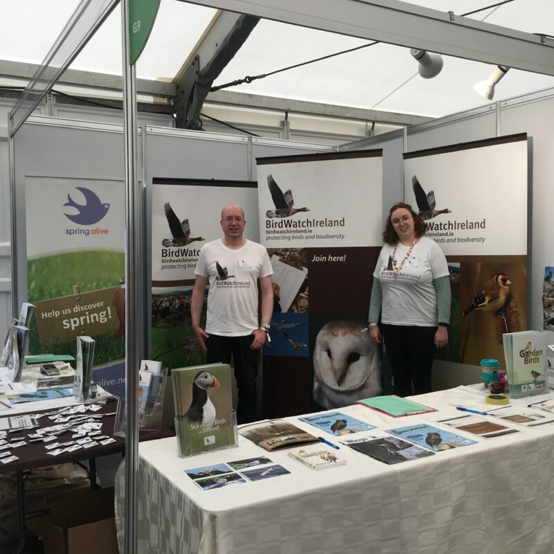 A man and a woman behind a stand for BirdWatch Ireland. At Bord Bia's Bloom festival in Phoenix Park Dublin.