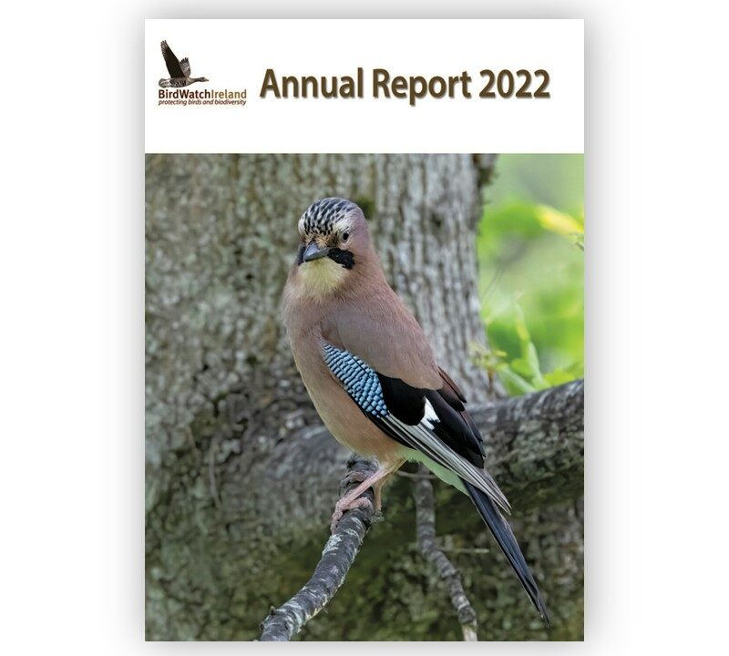 Cover of BirdWatch Ireland's 2022 Annual Report