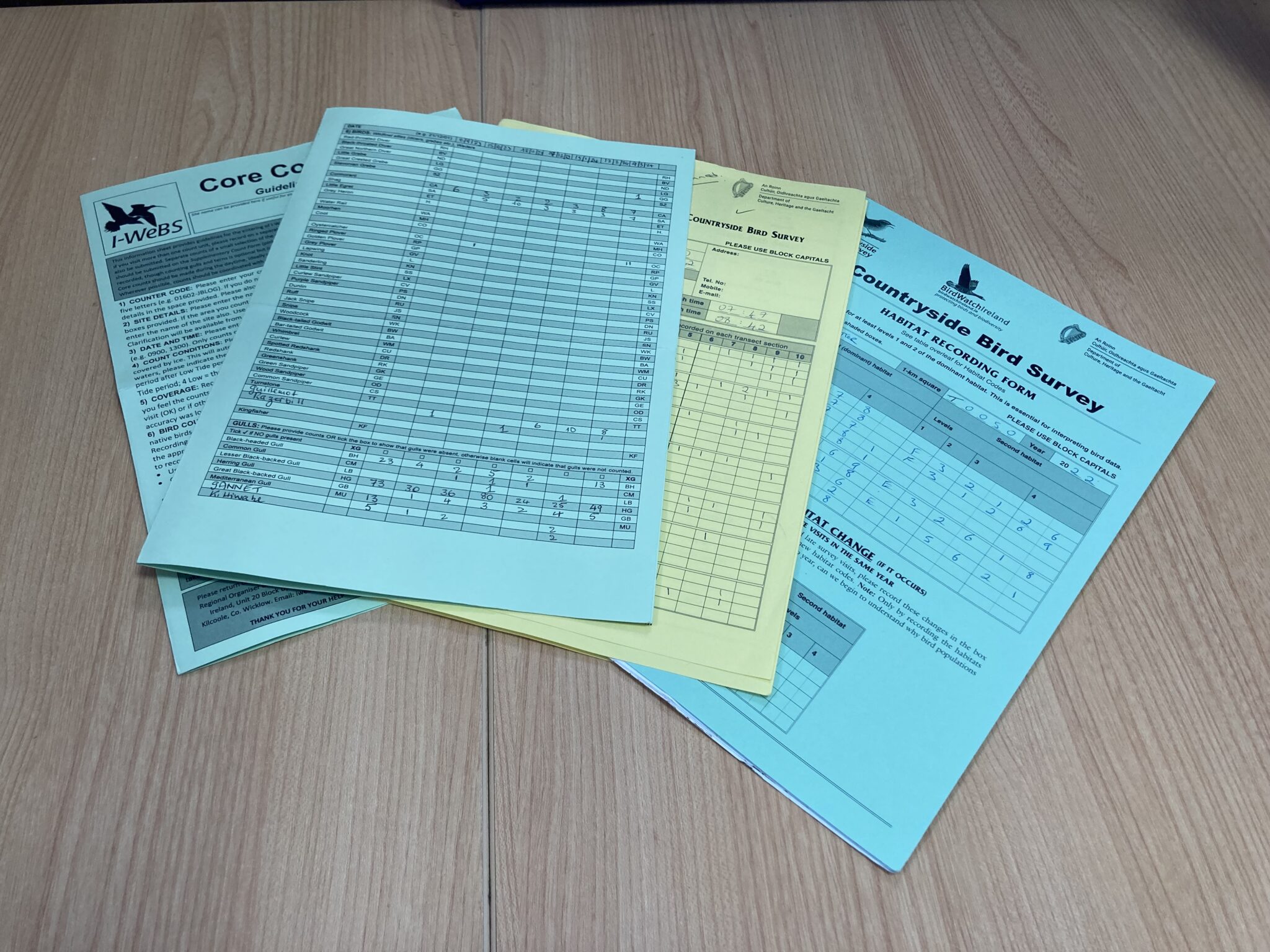 Cbs Form Data Entry Volunteer for CBS & I-WeBS - BirdWatch Ireland