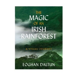 Magic of an Irish Rainforest