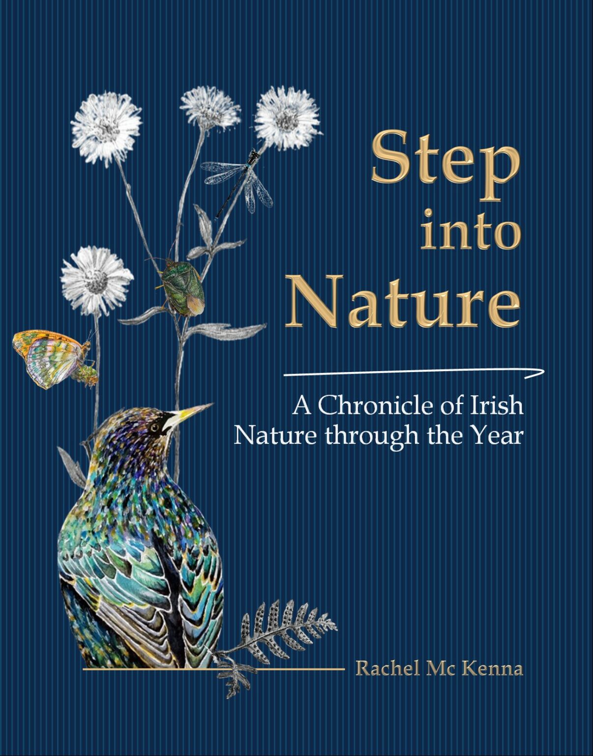 Step into Nature by Rachel McKenna BirdWatch Ireland