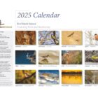 2025 calendar back image