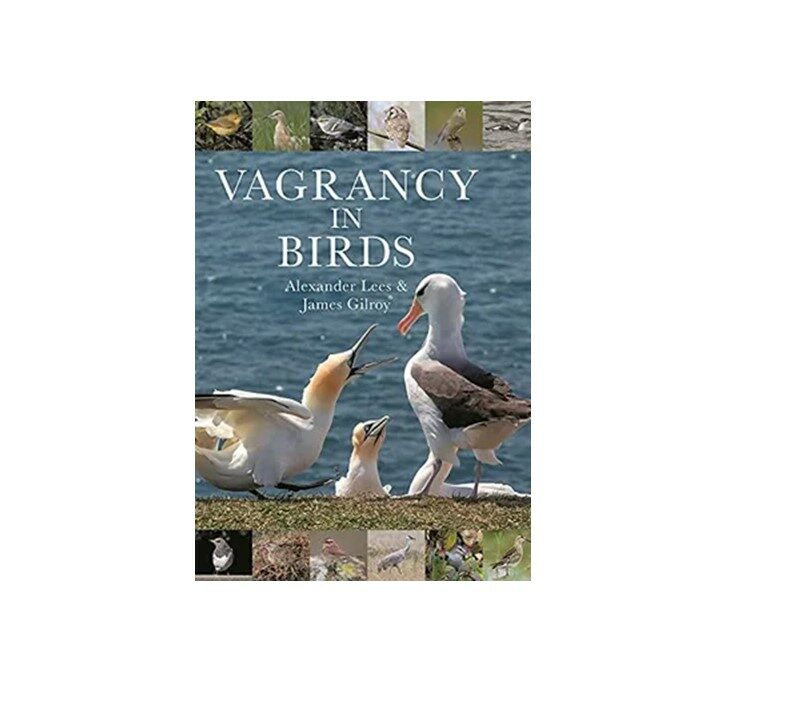 book-vagrancy in birds-event