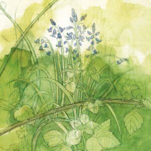 Bluebells Card by Menagerie Cards