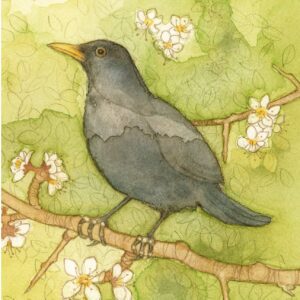 Blackbird Card by Menagerie Cards