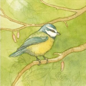Blue Tit Card by Menagerie Cards