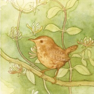 Wren Card by Menagerie Cards