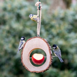 Columbus Apple Bird Feeder *New Product*