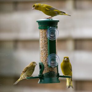 Discovery 2 Port Window Seed Feeder *New Product*