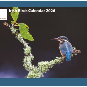 2026 BirdWatch Calendar