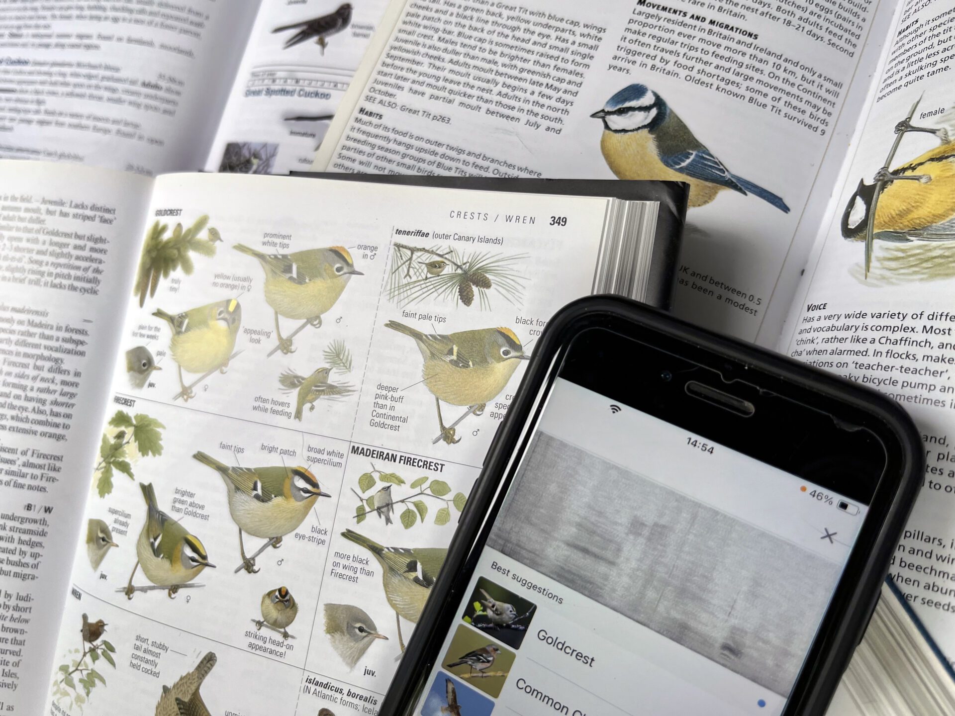 BirdWatch Ireland statement on auto-ID tools