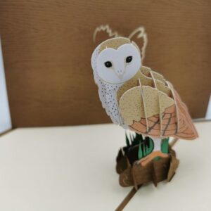 Barn Owl Pop Up Card