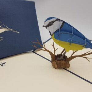 Blue Tit Pop Up Card