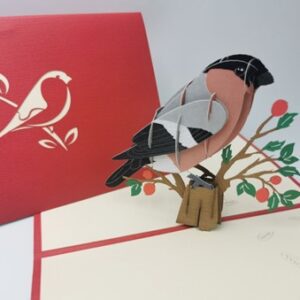 Bullfinch Pop Up Card