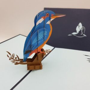 Kingfisher Pop Up Card