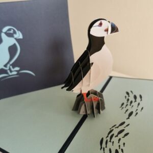 Puffin Pop Up Card
