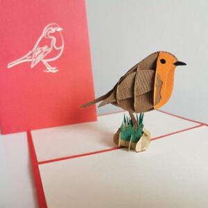 Robin Pop Up Card