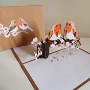 Robin Cherry Blossom Pop Up Card