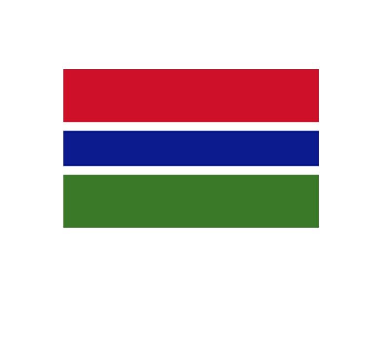 Flag of Gambia