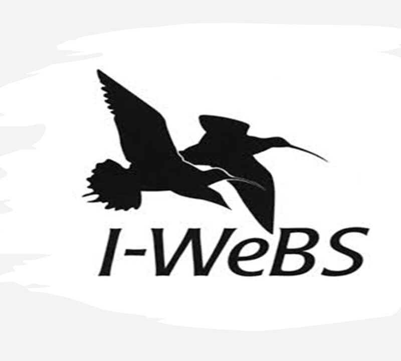 I-WeBS