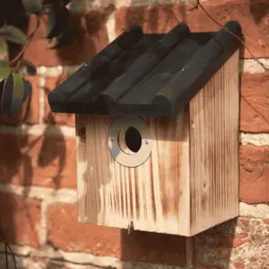 Crest Nest Box