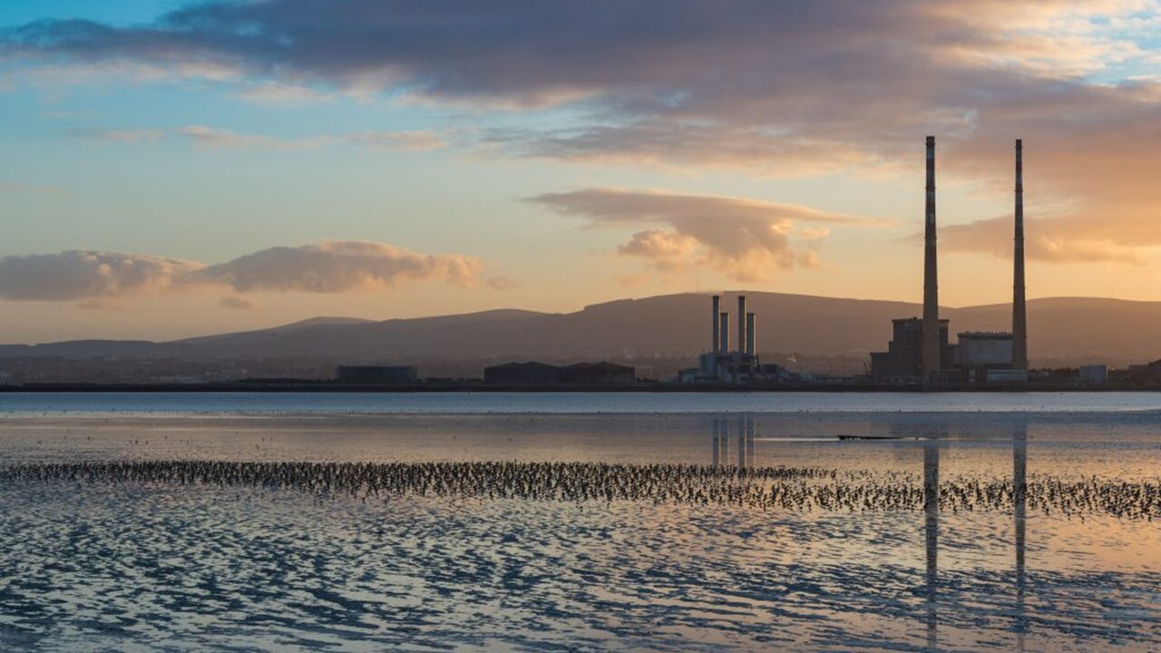 Return of the Wintering Waterbirds