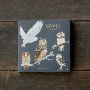 Owl Cards - Set of 8