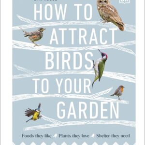 How To Attract Birds To Your Garden