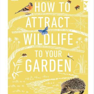 How To Attract Wildlife To Your Garden