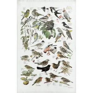 100% Organic Cotton Tea-Towel - Garden Birds
