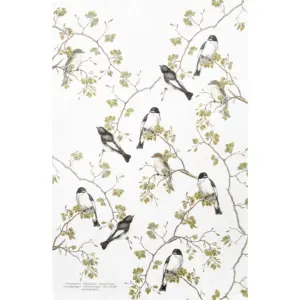 100% Organic Cotton Tea-Towel - Pied Flycatcher
