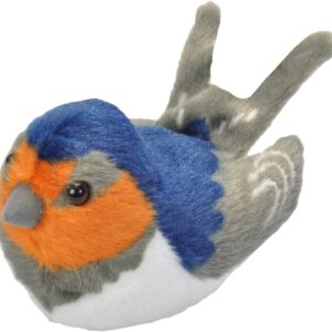 Singing Barn Swallow