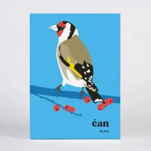 Pawpear Greeting Card Box - Bird