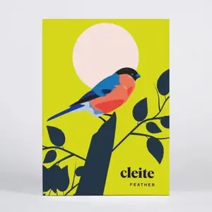 Pawpear Greeting Card Box – Feather