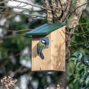 Seattle Anti-Predator Nest Box