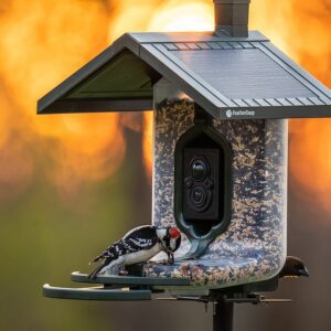 FeatherSnap Smart Solar Bird Feeder