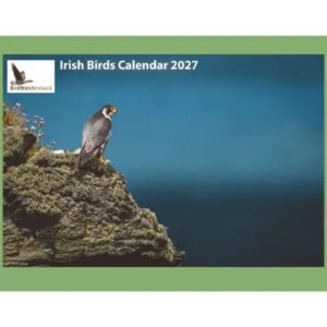 2027 Calendar