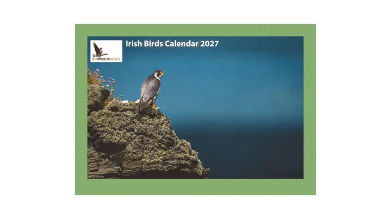 2027 Calendar 2027 Calendar