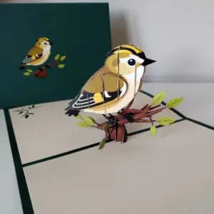 Goldcrest Pop Up Card